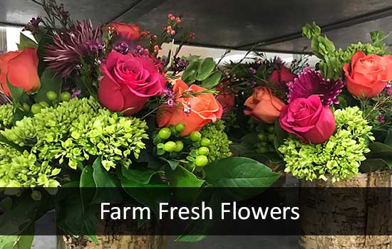 Farm-Fresh Flowers, Fresh Cut Floral Bouquets
