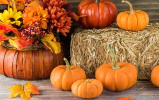 Thanksgiving Flowers and Decor, Fall Flowers & Decor