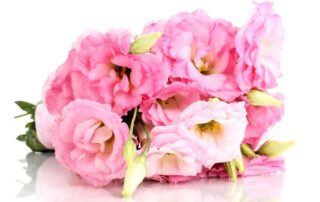 Blooming for Awareness with In Bloom Flowers Pink Floral Collection