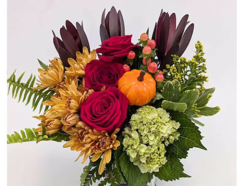 Autumn Flowers to Brighten Your Home and Heart