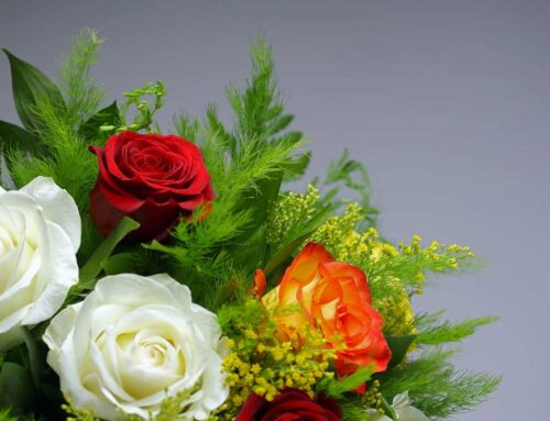 Arlington Texas Flower Delivery by In Bloom Flowers