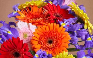 In Bloom Flowers Offers Same Day Delivery of Beautiful Flowers