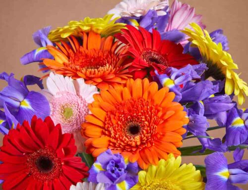 In Bloom Florist a Renowned Flower Shop with Multiple Locations Provides Flower Delivery to Carrollton Texas