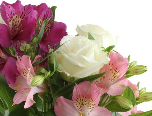 Restland Funeral Home and Cemetery Flower Delivery for Veterans Day is offered by In Bloom Flowers