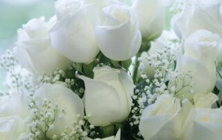 Elegant White Roses for New Years