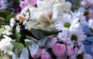 In Bloom Flowers offers winter flower arrangements.