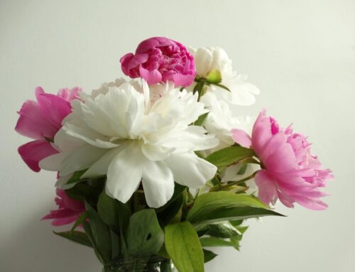 Find Perfect Thank You Flower Bouquets for Your Holiday Host at In Bloom Flowers